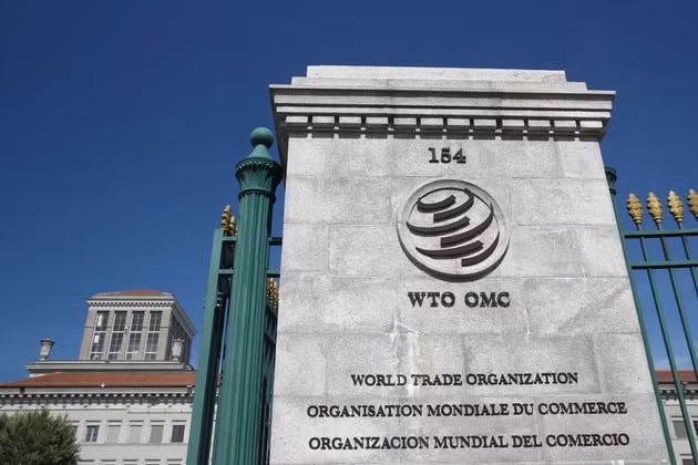 7 ứng viên 'chiến đấu' cho vị trí lãnh đạo WTO. Ảnh: chinanews