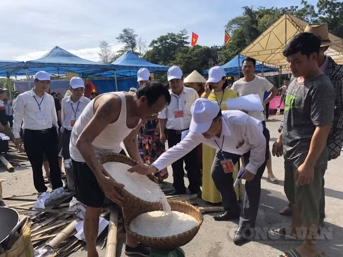 Ban Giám khảo kiểm tra chất lượng gạo của mỗi đội thi