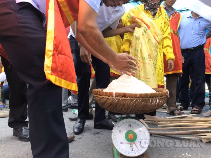 Ban Giám khảo Hội thi kiểm tra số lượng cân gạo để đảm bảo tính công bằng, phù hợp lượng bánh của các đội. Mỗi đội thi có 13kg (cả rá) gạo ướt để nấu bánh.