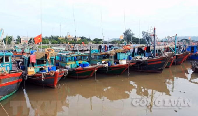 Tàu cá neo đậu nơi an toàn, tránh bão số 6.