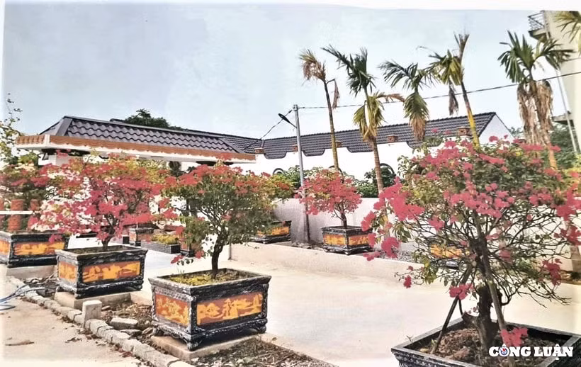 ha noi xu phat yeu cau thao do biet phu trai phep tai huyen phu xuyen hinh 1