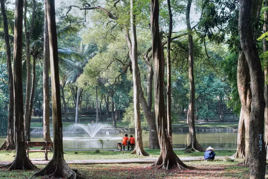 Hà Nội sẽ đầu tư, hình thành công viên xanh trên diện tích đất di dời trường học, nhà máy