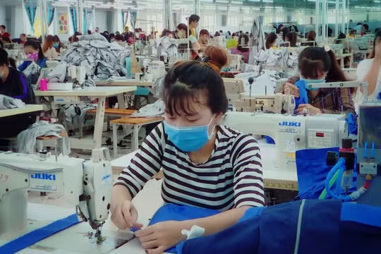 Quảng Ngãi nỗ lực thực hiện Bảo hiểm xã hội toàn dân