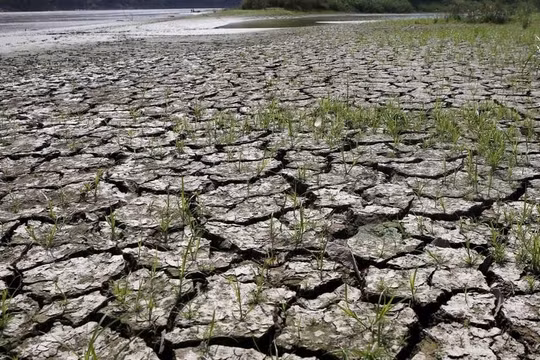 El Nino chính thức trở lại, dự báo sẽ có nhiều điều kiện thời tiết khắc nghiệt