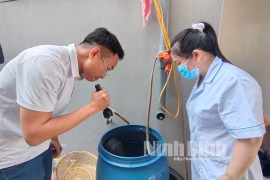 Ninh Bình: Xuất hiện 93 ổ dịch và 455 ca bệnh sốt xuất huyết