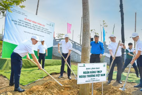 Vietcombank phát động chương trình trồng 60 nghìn cây xanh