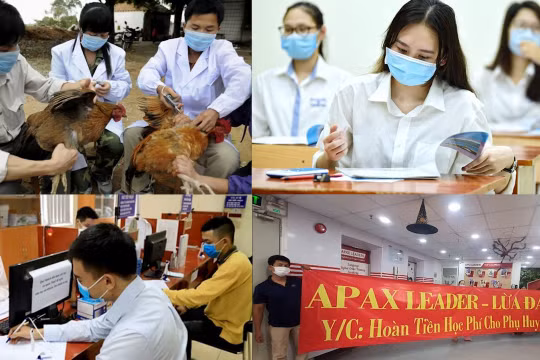 Nóng 18h: Bộ Y tế ra công điện "khẩn" về phòng, chống cúm A(H5N1)