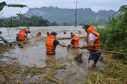 Xây dựng lực lượng chuyên trách có trình độ chuyên môn cao ứng phó sự cố, thiên tai