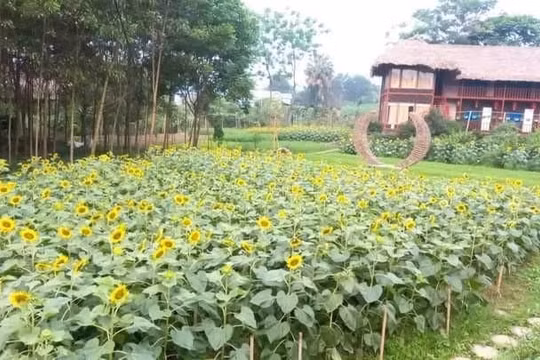 Thái Nguyên đảm bảo hoạt động du lịch trong kỳ nghỉ lễ