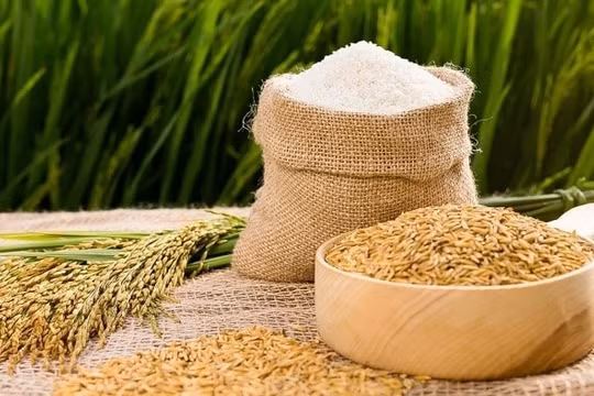 Sản lượng cây trồng châu Á dự báo giảm do El Nino mạnh lên