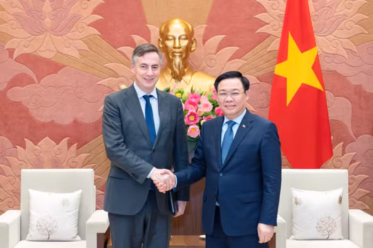 Liên minh châu Âu là đối tác quan trọng hàng đầu trong chính sách đối ngoại của Việt Nam