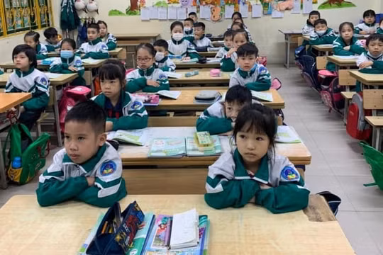 Lào Cai tạm dừng thu học phí của học sinh các trường công lập 