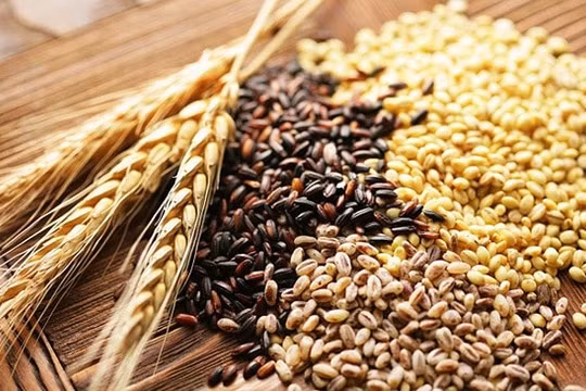 Ukraine đã xuất khẩu gần 3 triệu tấn ngũ cốc