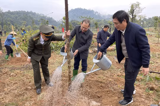 Phú Thọ: Phát động Tết trồng cây “Đời đời nhớ ơn Bác Hồ” xuân Quý Mão 2023