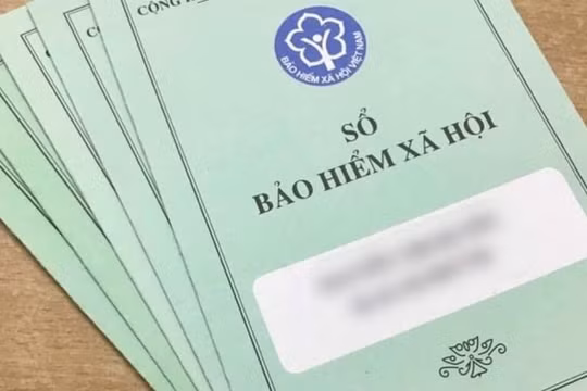 Hà Nội: Công bố 150 đơn vị chậm đóng bảo hiểm hơn 11,5 tỷ đồng