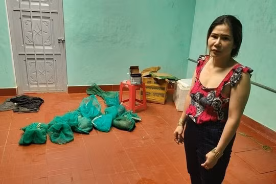 Gia Lai: Khởi tố, bắt tạm giam người phụ nữ mua bán số lượng lớn động vật quý hiếm