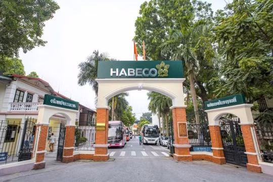 Những thương hiệu huyền thoại của Hà Nội: Habeco, Rạng Đông vươn mình mạnh mẽ