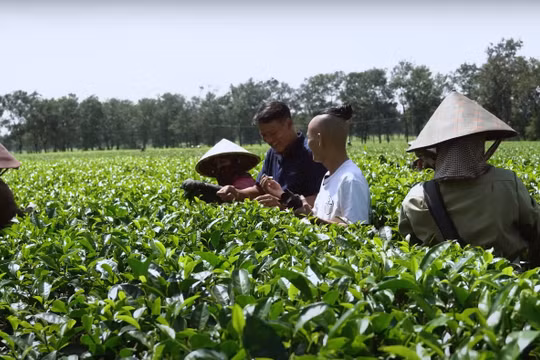 Biển Hồ Chè, điểm tham quan độc đáo và thú vị ở Gia Lai