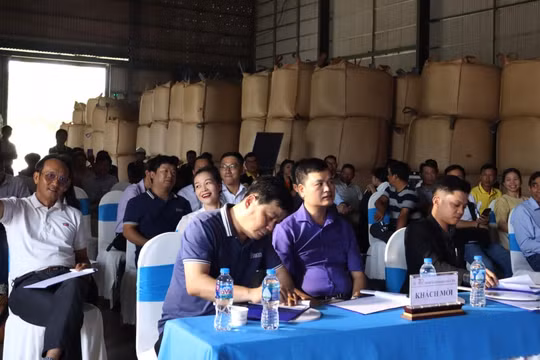 Lần đầu tiên đấu giá cà phê đặc sản tại Việt Nam
