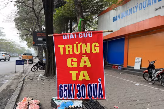 Trứng gà 'giải cứu' giá 65.000 đồng/30 quả tràn ngập vỉa hè Hà Nội