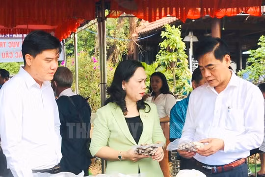 TP HCM nâng cao đời sống nông dân gắn hoạt động du lịch nông nghiệp