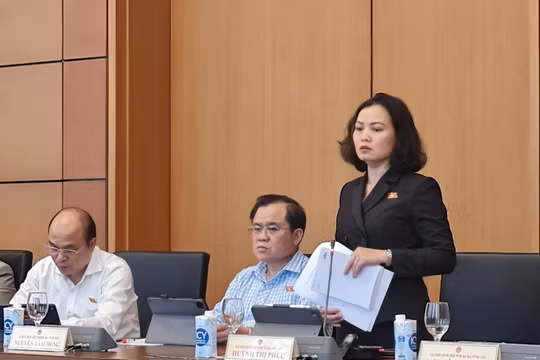 Đại biểu Quốc hội: "Trốn" đóng bảo hiểm xã hội thì phải xử lý hình sự