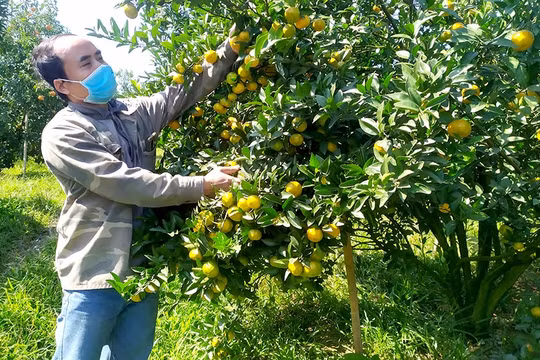 Giảm tỷ lệ hộ nghèo nhờ thực hiện tốt chương trình 1719