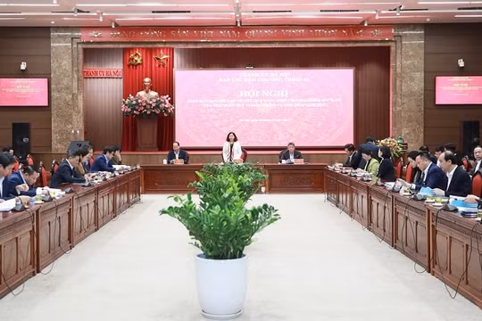 Rà soát kỹ các chỉ tiêu, xây dựng kế hoạch triển khai hiệu quả công tác xây dựng nông thôn mới