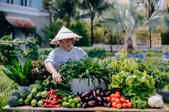 Bùng nổ nhu cầu 'kỳ nghỉ 5 sao' cùng thiên nhiên ngay trong thành phố