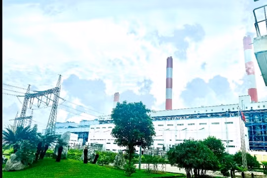 Công ty Nhiệt điện Mông Dương thực hiện tốt nhiệm vụ bảo vệ môi trường