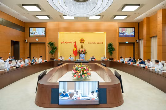 Kịp thời xem xét, ban hành Nghị quyết về sắp xếp đơn vị hành chính cấp huyện, cấp xã