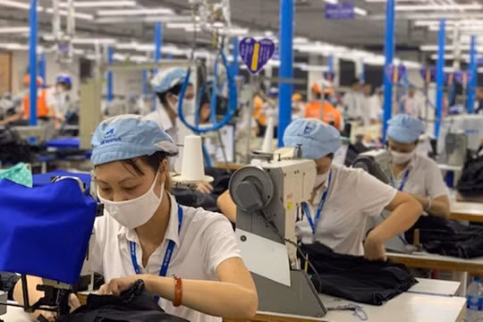 Gần 80.000 người tìm được việc làm mới ở TPHCM