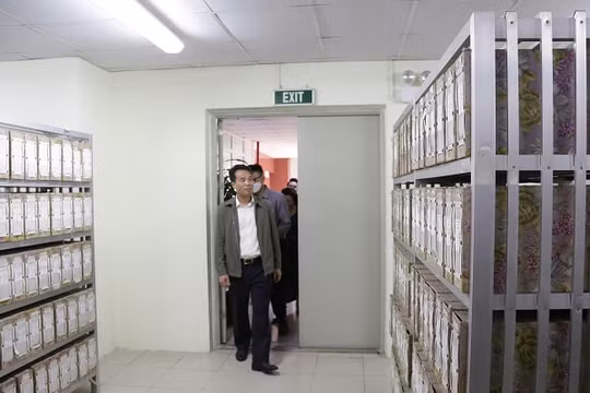 Tăng cường kỷ luật, kỷ cương trong quản lý tài chính, tài sản ngành BHXH Việt Nam