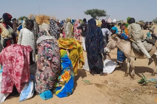 Hàng viện trợ trị giá hơn 13 triệu USD bị cướp ở Sudan