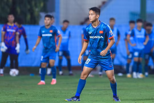 Lý do khiến cầu thủ Andrej Nguyễn An Khánh bị loại