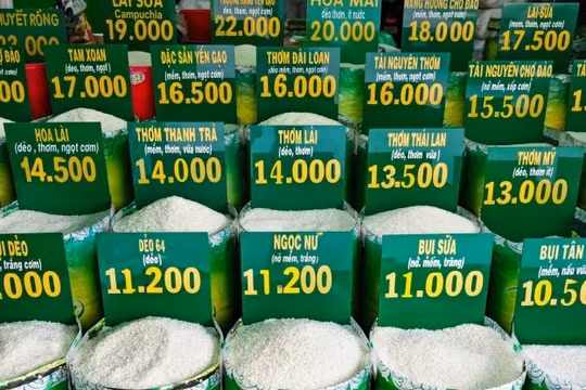 Giá gạo tăng cao, dấy lên nguy cơ lạm phát lương thực ở châu Á