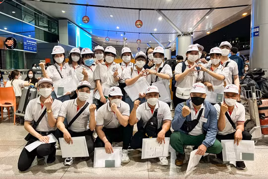 Nhiều đối tượng không được hưởng vốn tín dụng ưu đãi khi làm việc tại nước ngoài