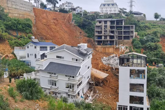Tôn trọng thiên nhiên để Đà Lạt lấy lại vẻ đẹp vốn có