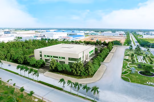 Chính phủ giảm 30% tiền thuê đất cho đối tượng bị ảnh hưởng bởi dịch COVID-19