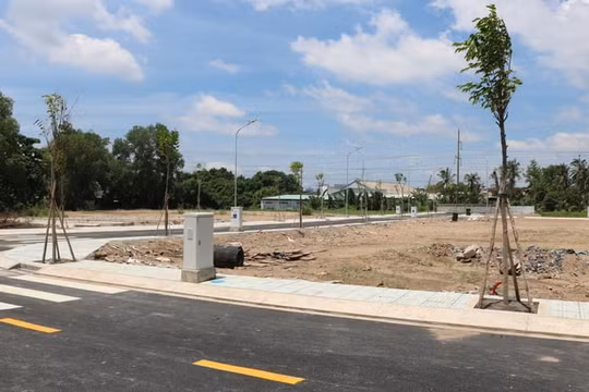 Trong tháng 1/2025, Hà Nội sẽ đấu giá gần 100 lô đất, có cả 'đất vàng'