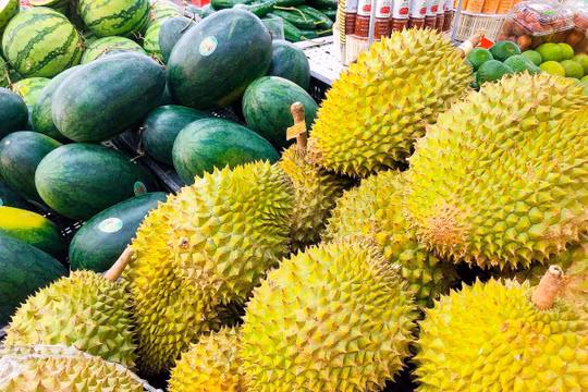 Ngành hàng rau, quả - điểm sáng của xuất khẩu những tháng đầu năm