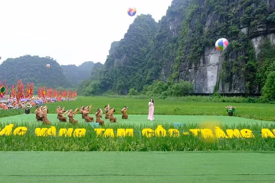 Hấp dẫn Tuần du lịch 'Sắc vàng Tam Cốc - Tràng An' năm 2023