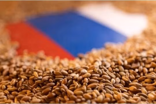 Giá lúa mì Nga giảm do nguồn cung vẫn dồi dào