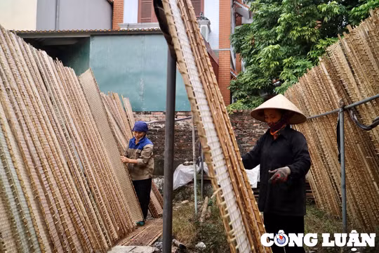 Làng nghề làm bánh đa nem ven đô nhộn nhịp vụ Tết