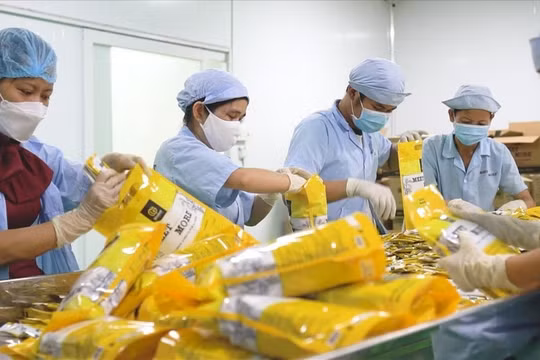 Hà Nội yêu cầu báo cáo việc trả lương, thưởng Tết trước 10/1/2024