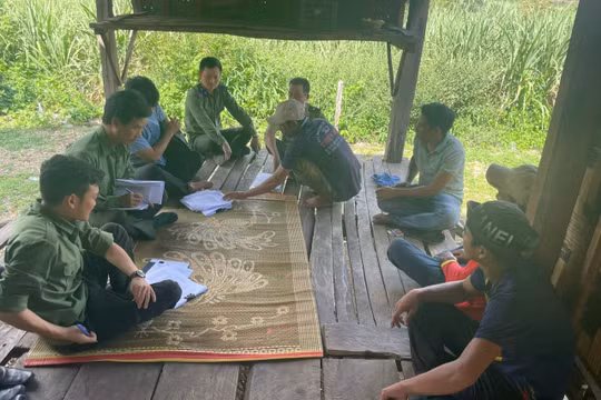 Gia Lai: Lợi ích kép từ việc giao khoán bảo vệ rừng vùng đồng bào ít người
