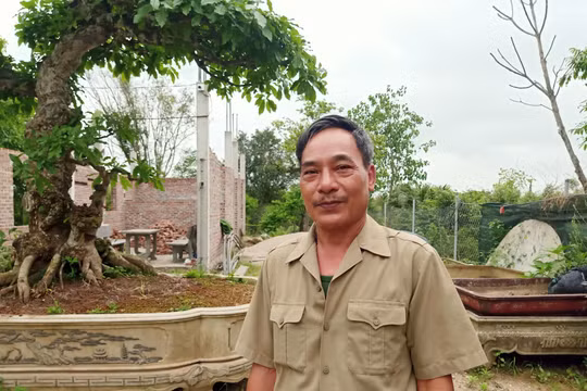 Diễn biến mới vụ thương binh nặng 'kêu cứu' tại Nam Định: Trông chờ kết luận cuối cùng của chính quyền địa phương