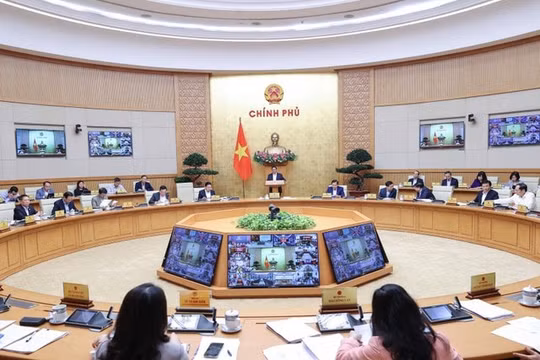 Thủ tướng phân công Thành viên Chính phủ làm việc với địa phương để gỡ khó, thúc đẩy sản xuất, kinh doanh