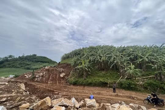 Xử phạt Công ty Vũ Trường Giang 120 triệu đồng vì lấn chiếm đất rừng để khai thác khoáng sản