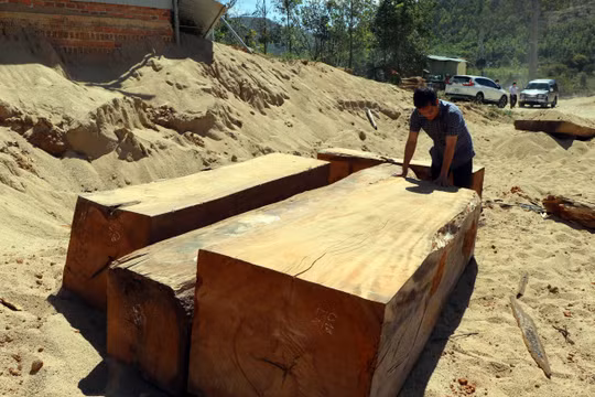 Kon Tum: Phát hiện bãi tập kết gỗ lậu được vùi tinh vi dưới cát
